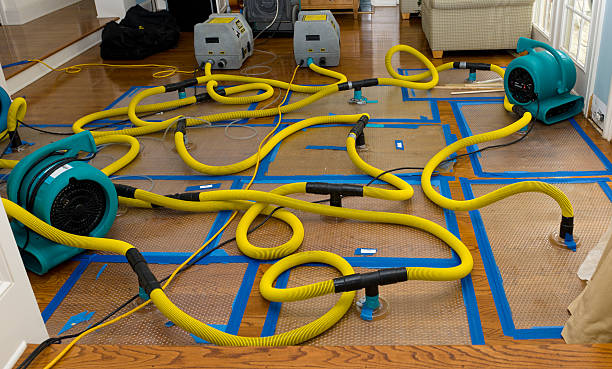 Professional Sewage Cleanup technician working in Trinity, FL